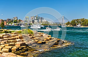 Yachts in Sydney Harbour as seen from Barangaroo Reserve Park photo