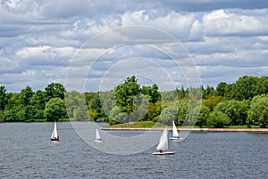 Yachts with white sails compete on the lake.