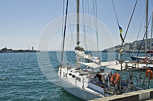 Yachts, Yalta