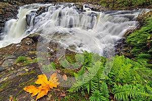 Yacolt Falls in Autumn