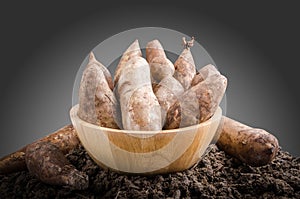 Yacon roots on a bowl