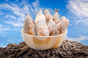 Yacon roots on a bowl