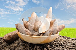 Yacon roots on a bowl