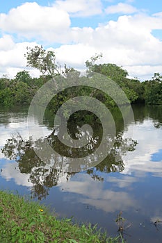 Yacuma river. Bolivian jungle.