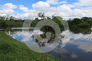 Yacuma river. Bolivian jungle.