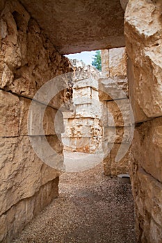 Yad Vashem Community Valley - Israel