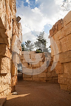 Yad Vashem Community Valley - Israel