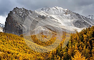 Yading fall photo