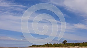 Yagry in Severodvinsk. Panorama. Unique pine forest. white sea coast. sea tide