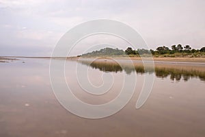 Yagry in Severodvinsk. Unique pine forest. white sea coast. sea tide