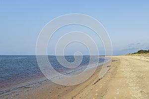 Yagry in Severodvinsk. Unique pine forest. white sea coast. sea tide