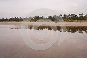Yagry in Severodvinsk. Unique pine forest. white sea coast. sea tide photo
