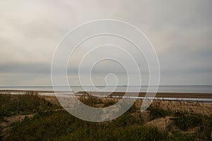 Yagry in Severodvinsk. Unique pine forest. white sea coast. sea tide photo