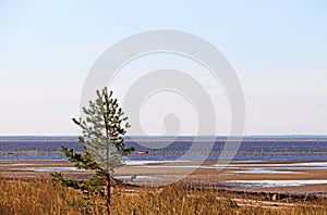 Yagry in Severodvinsk. White sea coast. sea tide