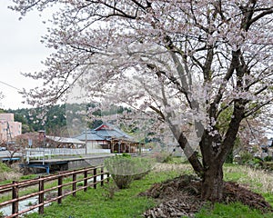 Yahiko Station in Yahiko, Niigata, Japan.