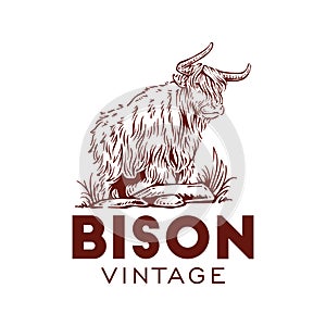 Yak american bison hand drawn logo vector vintage illustration bull horn design symbol