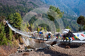 Yak on the bridge in Nepal