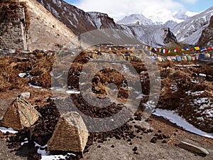 Yak dung and fodder set to dry on the roof of a farmhouse in the upper Markha valley, Ladakh
