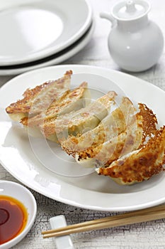 Yaki gyoza, japanese pot stickers