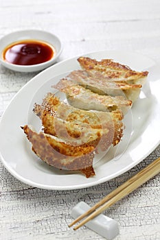 Yaki gyoza, japanese pot stickers