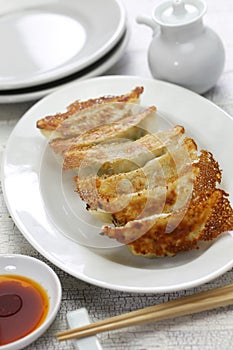 Yaki gyoza, japanese pot stickers