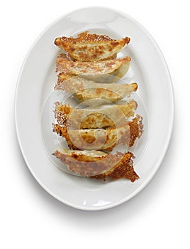 Yaki gyoza, japanese pot stickers