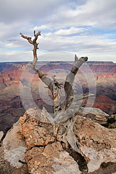 Yaki Point, Grand Canyon