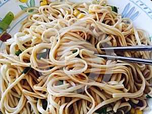 Yaki Udon noodles