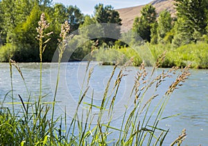 Yakima river