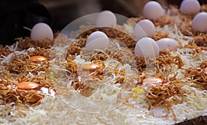 Yakisoba Japanese fried noodles with bite-sized pork, vegetables and flavored with sauce, salt and pepper is prepared on hot pan