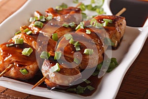 Yakitori chicken with green onions close-up on a plate. horizontal