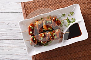 Yakitori chicken with green onions on a plate. Horizontal top vi