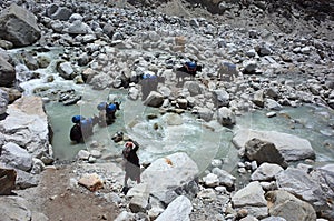 Yaks caravan loaded with big blue barrels is crossing river, Woman yak herder is guiding them, Nepal