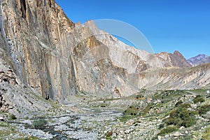 Yaks in the valley with sheer mountains at background along Markha Valley trek, Ladakh, ndia