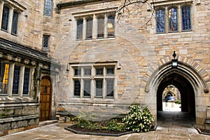 Yale university