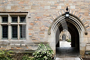 Yale university