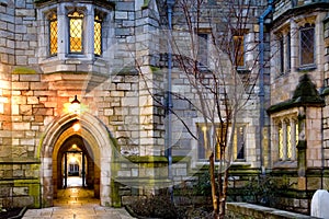 Yale university