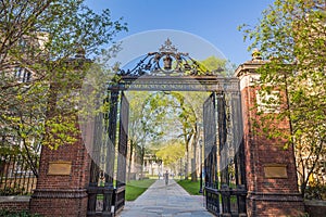 Yale university buildings