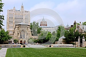 Yale University Campus