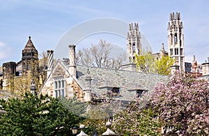 Yale University Sterling Law Building photo