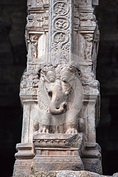 Yali pillar. Part lion and part elephant. Airavatesvara Temple, UNESCO World Heritage Site, Darasuram, Tamil Nadu, India