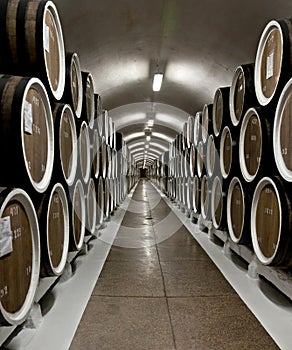 Barrels of wine in cellar in Massandra winery, Yalta, Crimea