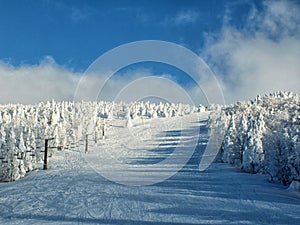 Yamagata frozen trees snow monsters and ski slope at mt.zao