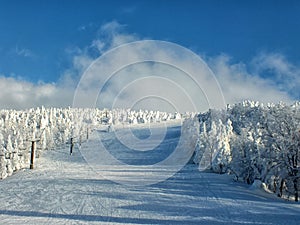 Yamagata frozen trees snow monsters and ski slope at mt.zao