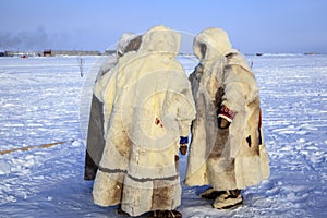 Yamal, open area, tundra,The extreme north,  Races on reindeer sled in the Reindeer Herder`s Day on Yamal