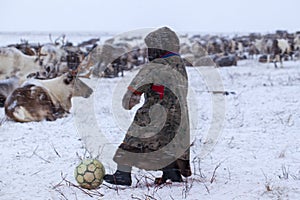 The Yamal Peninsula. Reindeer with a young reindeer herder. Happy boy on reindeer herder pasture playing with a ball in winter