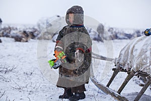 The Yamal Peninsula. Reindeer with a young reindeer herder. Happy boy on reindeer herder pasture playing with a toy motorcycle in