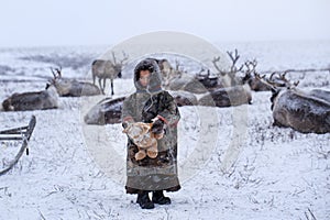 The Yamal Peninsula. Reindeer with a young reindeer herder. Happy boy on reindeer herder pasture playing with a toys in winter