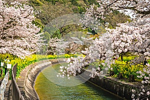 Yamashina Canal in Yamashina District, Shiga, Japan