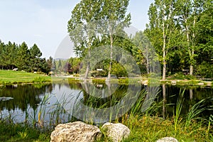 Yampa River Botanic Park